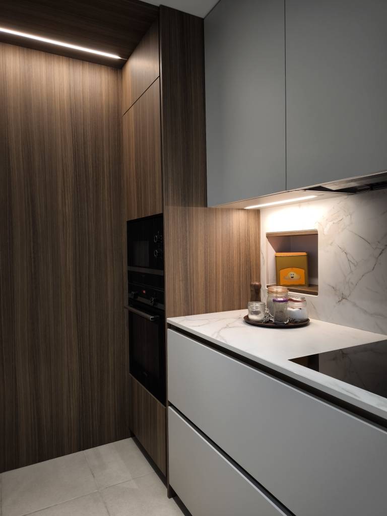 Four et Micro-ondes dissimulés