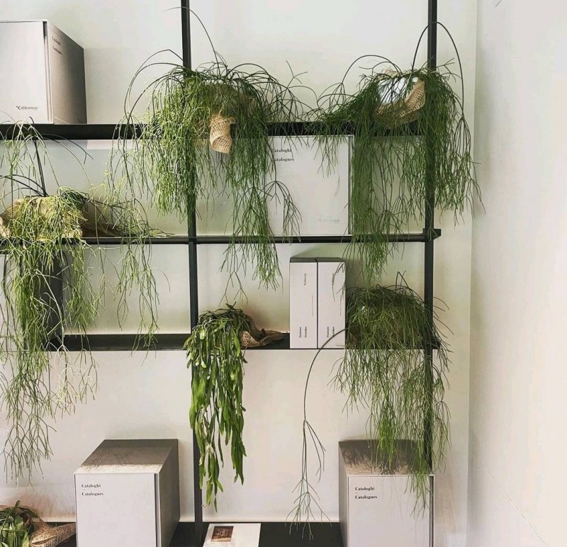 conception d'étagères sur mesure , autour de Mérignac