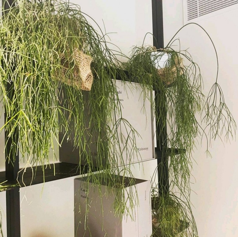 Home Cuisine , devis pour réaliser des étagères murales autour de moi 